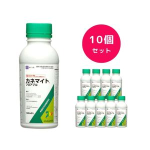 10個セット カネマイトフロアブル 500ml ...の商品画像