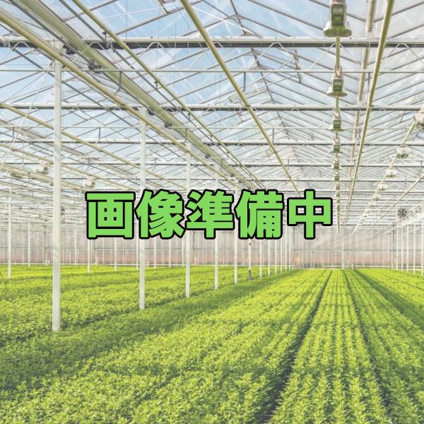 PCJーLCNLドリッパーニップル4(圧力補正付) 4L/H 停止圧0.12kg 灰色 水タレ防止 ...