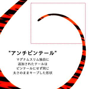 /メール便可/ Brizm (ブリズム) EZ...の詳細画像3