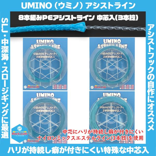 /メール便可/ UMINO (ウミノ) PEアシストライン 徳用パック 中芯入 60lb~120lb...