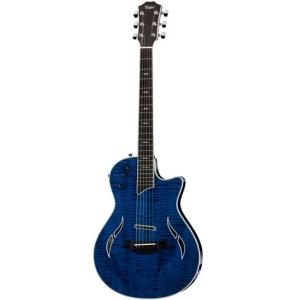 Taylor T5z Classic - Rosewood : ロッキンダディ - 通販