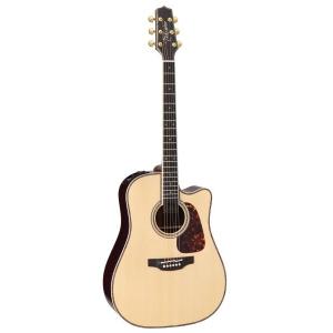 Takamine エレアコ World Standardシリーズ DSF48C : ロッキンダディ 