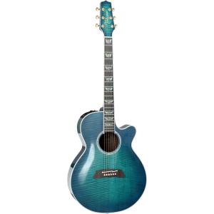Takamine エレアコ 100シリーズ Thinline TSP178AC SBB : ロッキン 