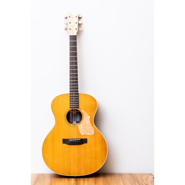 K.YAIRI VINCENT VL-30 Blues