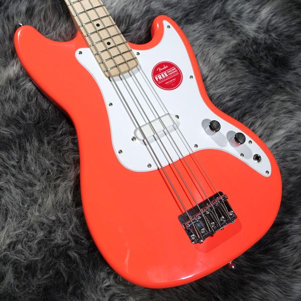 Squier ＜スクワイア＞ Sonic Bronco Bass Tahitian Coral