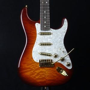 Aria Pro 2 アリアプロ2 RS WILDCAT STD-2 ソフトケース付き 傷や汚れ