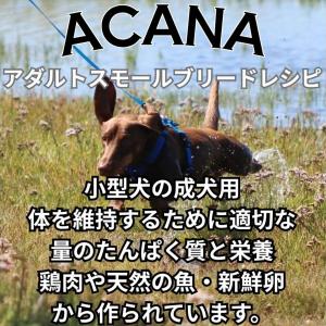【並行輸入品】 アカナ アダルト スモールブリ...の詳細画像1