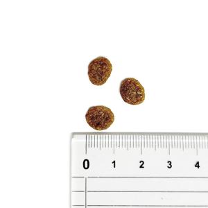 【並行輸入品】 アカナ アダルト スモールブリ...の詳細画像3