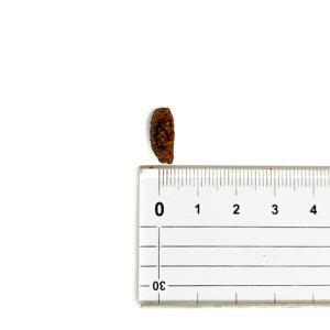【並行輸入品】 アカナ クラシック レッドミー...の詳細画像4