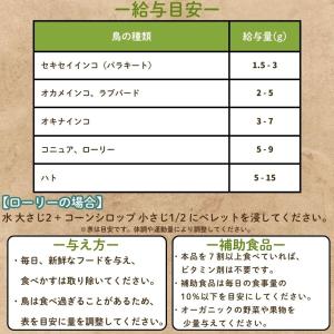 【直輸入】 ハリソン アダルト ライフタイム ...の詳細画像4