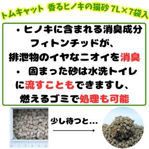 トムキャット 香るヒノキの猫砂 7L ×7袋入の詳細画像1