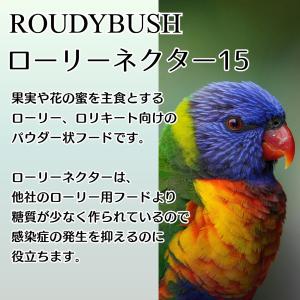 ラウディブッシュ ローリーネクター15 鳥類用...の詳細画像1