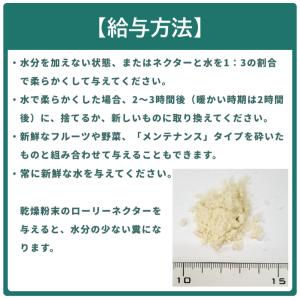 ラウディブッシュ ローリーネクター15 鳥類用...の詳細画像2