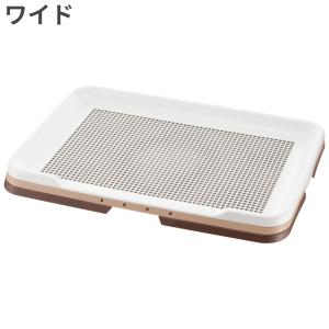 TOM CAT（トムキャット） トムクレイト6000 : トムキャットYahoo!店