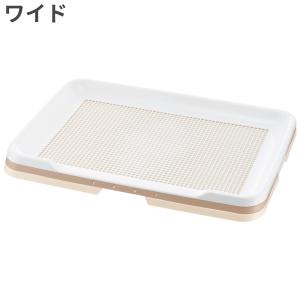 ジウィピーク ZIWI Peak ビーフ レシピ 犬用 ドッグフード 454g : トム