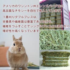 ワードルー スーパープレミアム ホースグレード...の詳細画像2