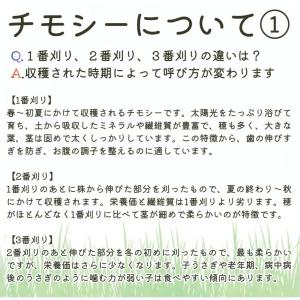 ワードルー スーパープレミアム ホースグレード...の詳細画像5