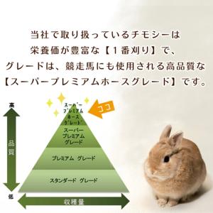 ワードルー スーパープレミアム ホースグレード...の詳細画像1