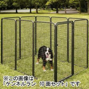 トムキャット ケンネルラン 10面セット 犬用｜rocky