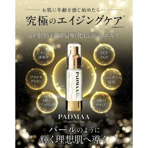 WELL8 【日本製ヒト幹細胞美容液】WELL8 ブースターセラム 導入美容液