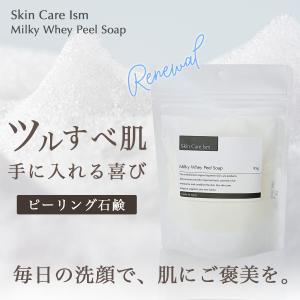 シリカ100プラス 100ml 珪素原液 硅素 導入美容液 ケイ素 シリカ