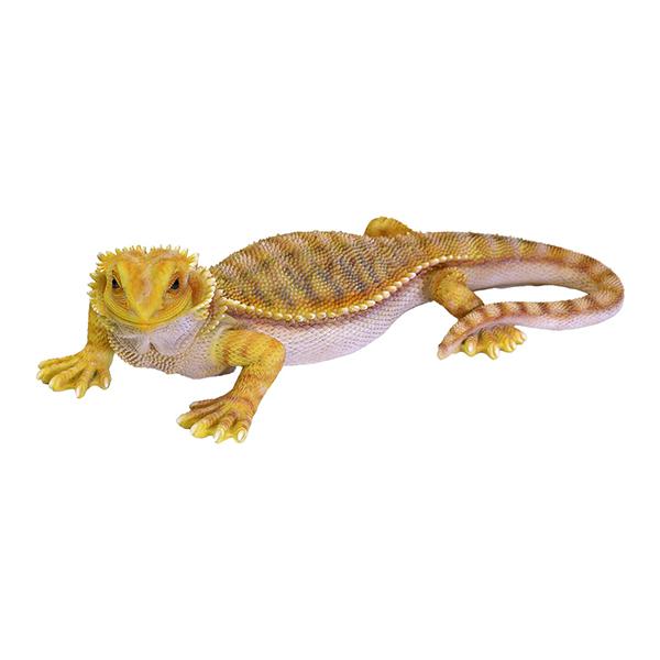 ペットバンク ポゴナ イエロー PET BANK POGONA YELLOW フトアゴヒゲトカゲ 2...