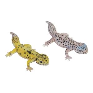 レプタイルズマグ レオパードゲッコー REPTILES MAG LEOPARD GECKO 2916~2917｜rodcontrol