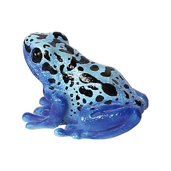 レプタイルズマグ ブルー ポイズンダートフロッグ REPTILES MAG BLUE POISON ...