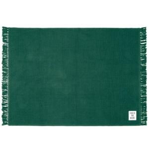 INDEPENDENT TRUCK COMPNY インディペンデント トラック サミット ロゴ