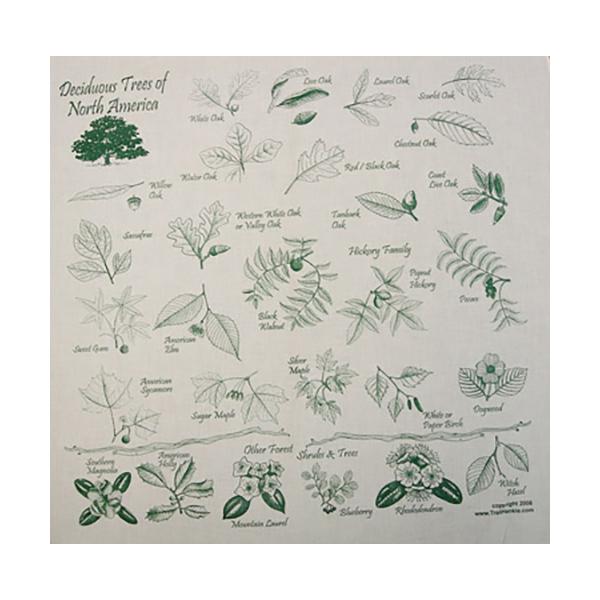 TRAIL HANKIE デリシャス ツリー DELICIOUS TREE バンダナ