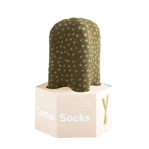 DOIY カクタスソックス CACTUS SOCKS（マミラリア）