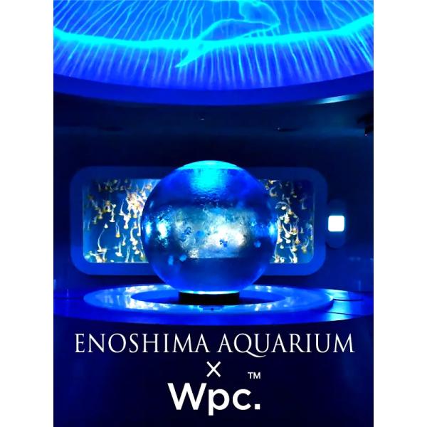 Wpc 折りたたみ傘 江ノ島水族館 クラゲ 折りたたみ ビニール傘 折りたたみ傘 可愛い PT-EN...