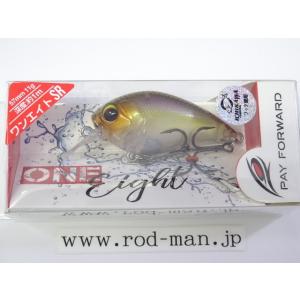 ペイフォワード☆ワンエイトMR☆マジックチャート#003 : ルアー