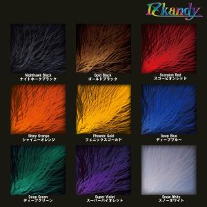 キャンディー カラー 塗料 IZ Kandy ...の詳細画像1