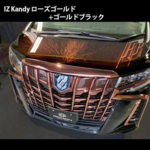 キャンディー カラー 塗料 IZ Kandy ...の詳細画像5