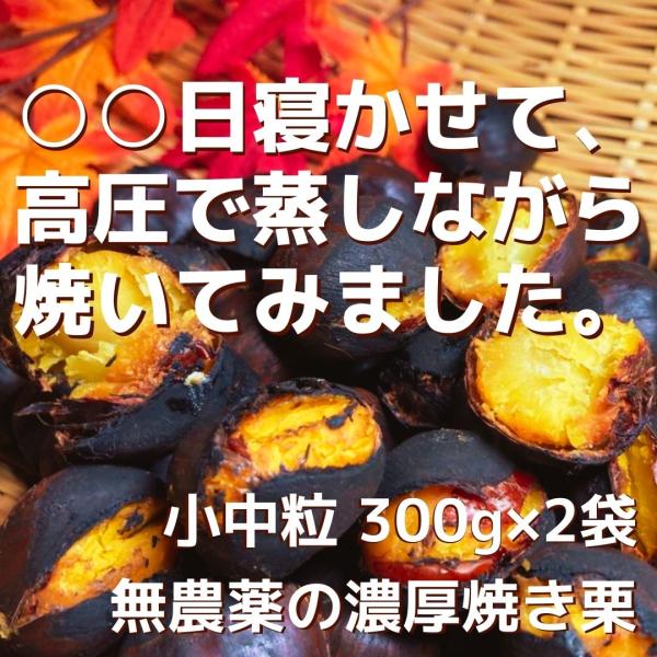 【2025年ご予約受付開始】○○日寝かせて、高圧で蒸し焼きにした無農薬のこだわり濃厚焼き栗 小中粒 ...
