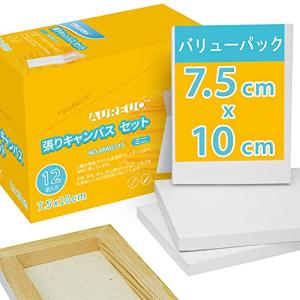 AUREUO 芸術絵創作 現代油絵 美術装飾 ミニ 張りキャンバス セット イーゼル無し 7.5cm×10cm 12枚 中目 100％コットン 水彩絵 ア