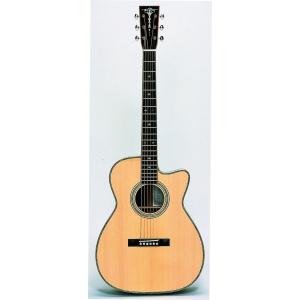 MORRIS(モーリス) エレクトリック・アコースティックギター R-401