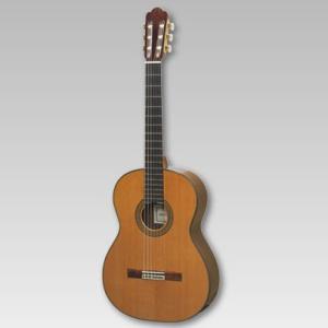 ASTURIAS アストリアス カスタム/C