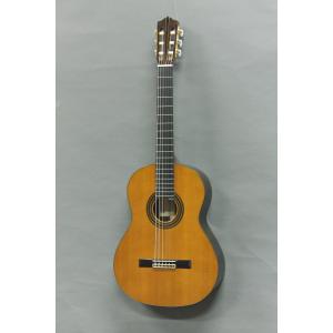 Martinez マルティネス ギターオール単板ボディで弦長630mmの