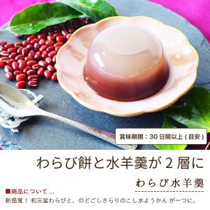 水羊羹 お供え お菓子 お中元2026 和菓子...の詳細画像5