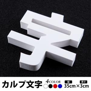 カルプ文字 浮き文字 立体文字「漢字」縦35cm×厚さ：3cm 屋外仕様 Karupu-b350｜rokuetsu-store