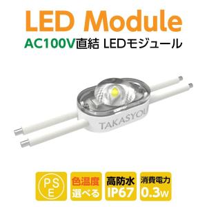 サインキングダム 新商品 LEDモジュール レンズ一体式 2灯タイプ IP67