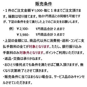 数量限定 福袋1円 迷子札 犬 猫 ドッグ タ...の詳細画像4
