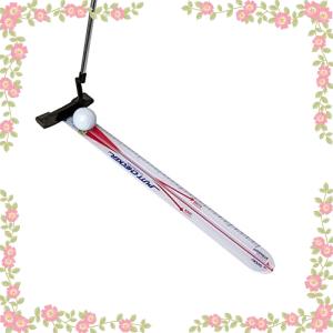 ダイヤゴルフ(DAIYA GOLF) パター練習器具 正しいパッティングストロークを身に付ける