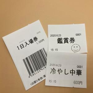 券売機 ロール紙 食券 白色 ミシン無し 幅5...の詳細画像2