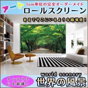 ロールカーテン 遮光 世界の風景 8022_01 A2040 並木道 緑 森 : ロール