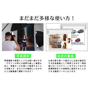 遮光ロールスクリーン モダン 1050_31 ...の詳細画像5