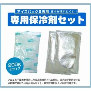 BR-530 クールマックス(R) ICE BACK アイスバックII 着る保冷剤 (専用保冷剤セット)｜romanbag