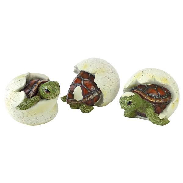 タマゴの殻から出た、海ガメ（海亀）の三つ子の赤ちゃん 彫像 彫刻/ 爬虫類、両生類カフェ (輸入品